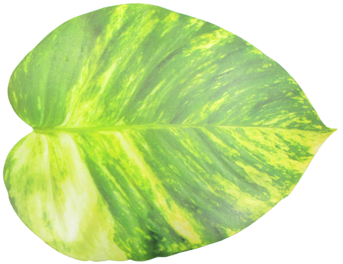 Pothos Vine Leaf Foam Placemats, 4-Pack - TropicaZona