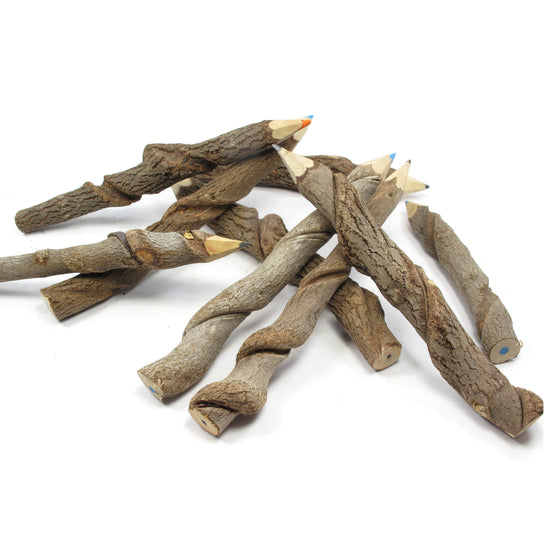 Branch & Twig Pencils