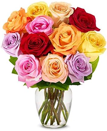 One Dozen Rainbow Roses with Glass Vase (Fresh Flower Bouquets) Birthday, Anniversary, Get Well, Congratulations, Thank You, All Occasions