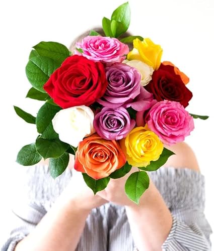 One Dozen Rainbow Roses with Glass Vase (Fresh Flower Bouquets) Birthday, Anniversary, Get Well, Congratulations, Thank You, All Occasions