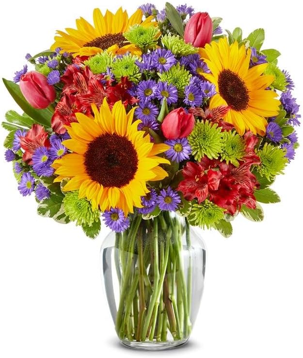 Lush Sunflower Garden with Glass Vase (Fresh Flower Bouquets) Birthday, Anniversary, Get Well, Congratulations, Thank You, All Occasions