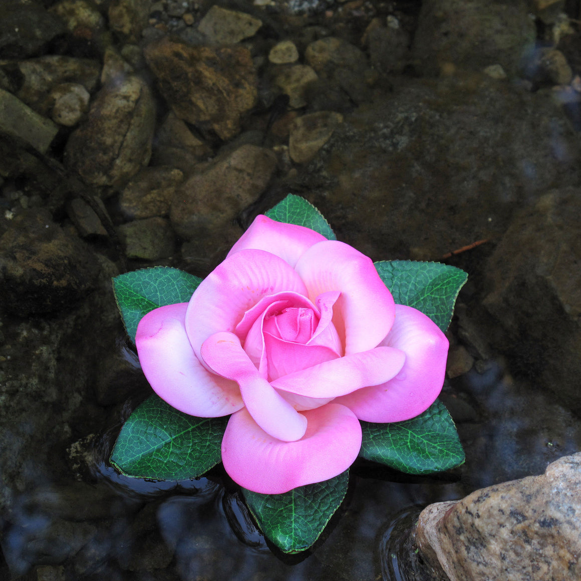 Floating EVA Foam Rose, Pink - TropicaZona