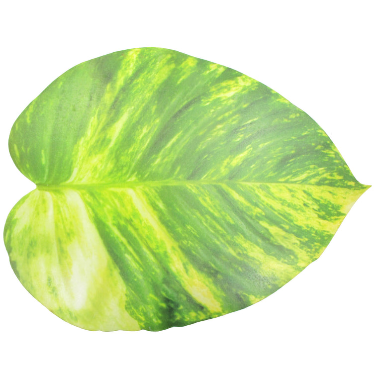 Pothos Vine Leaf Foam Placemat - TropicaZona