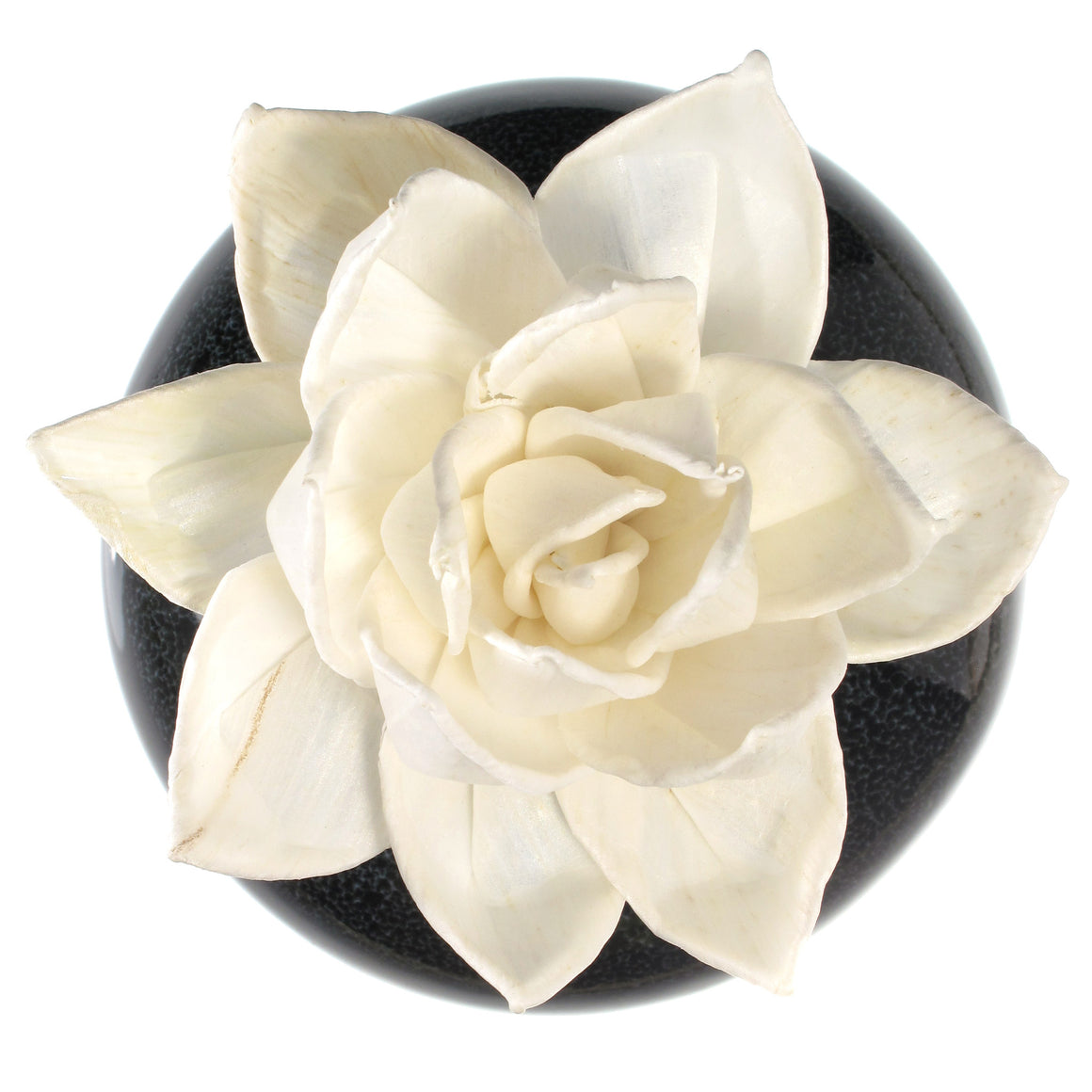 Sola Wood Flower Aroma Oil Diffuser with a Bendable Cotton Wire Wick, Lotus - TropicaZona